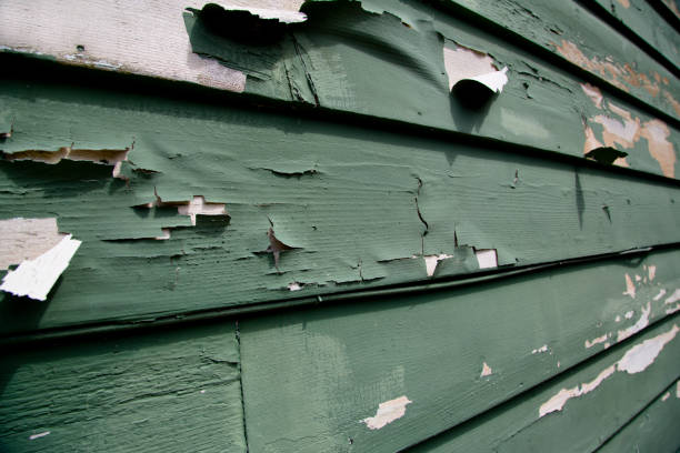 Affordable Siding Repair and Maintenance Services in Folcroft, PA